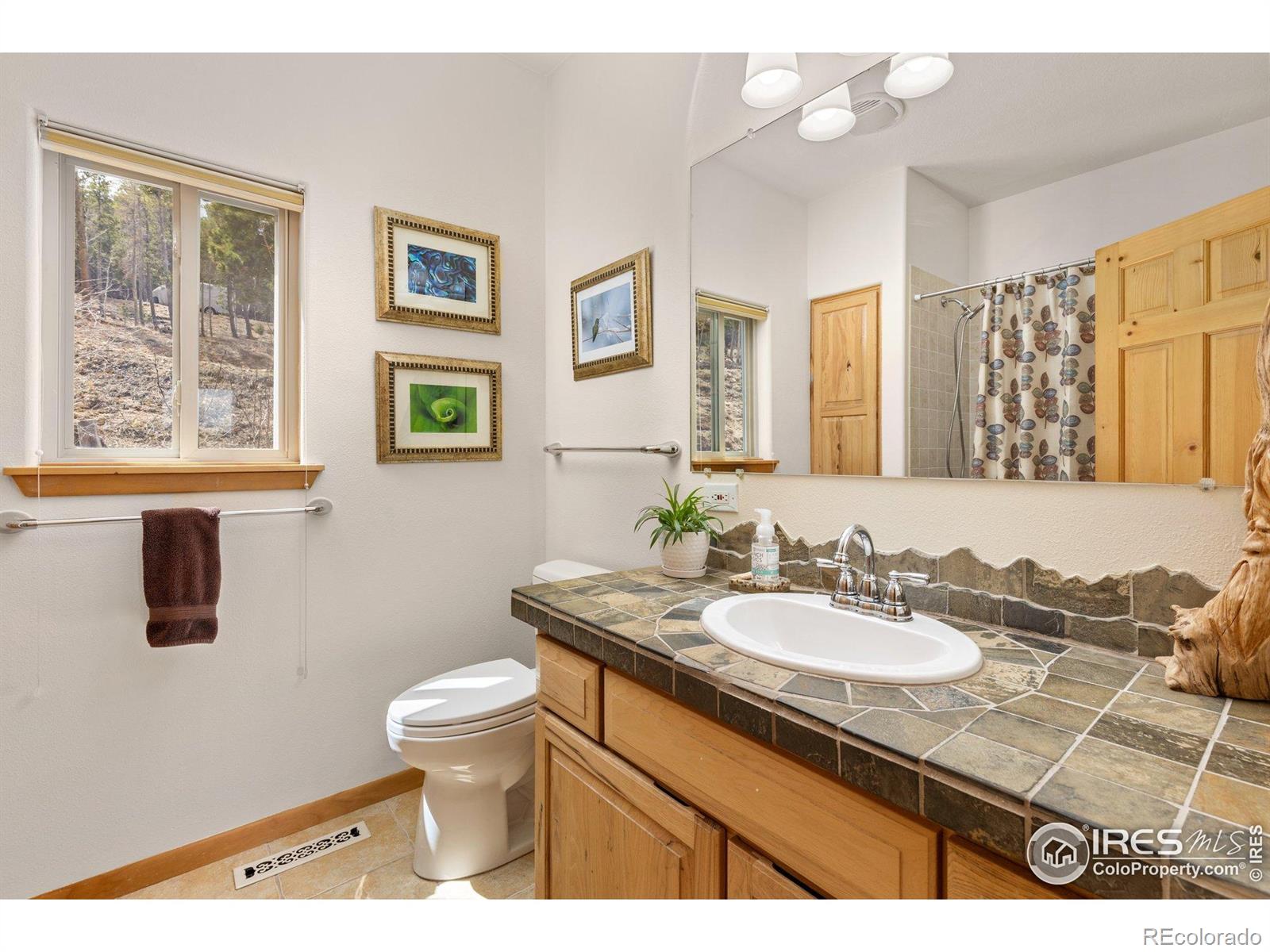 MLS Image #22 for 139  ponderosa drive,nederland, Colorado