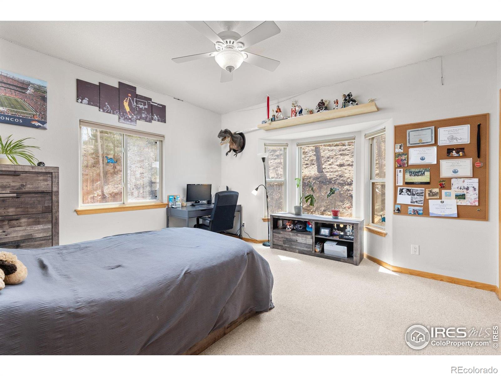 MLS Image #23 for 139  ponderosa drive,nederland, Colorado