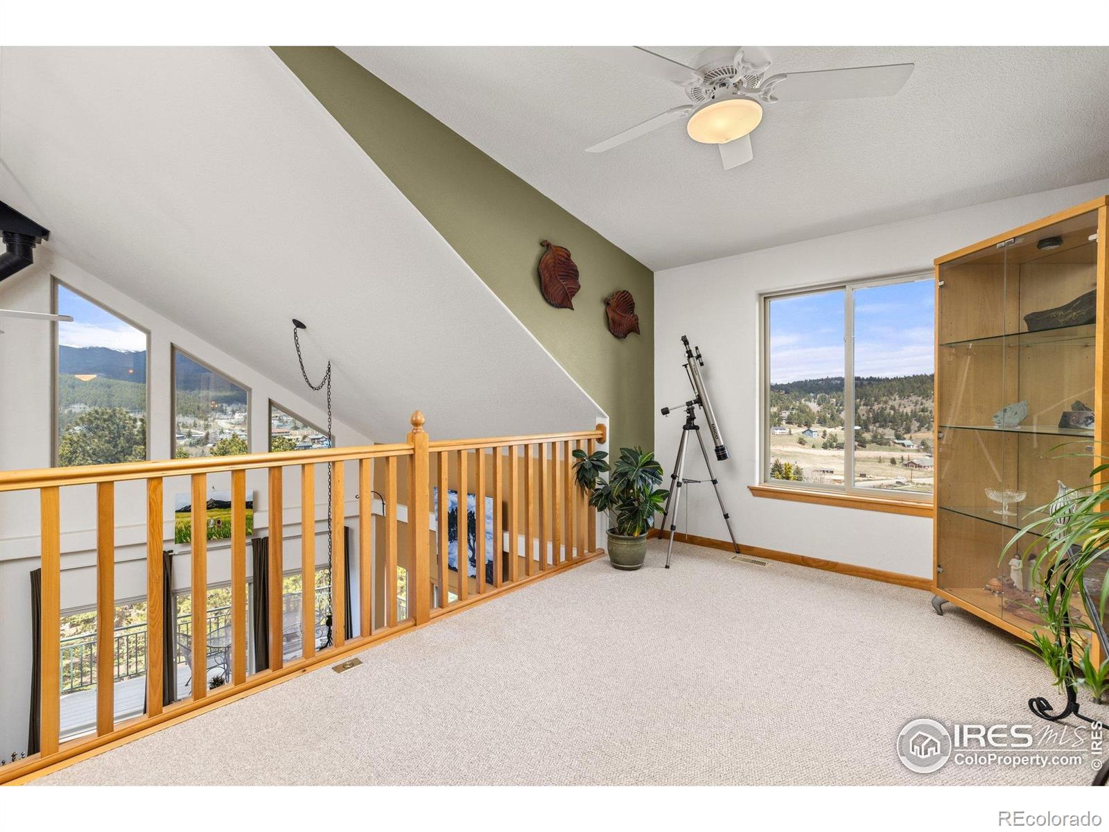 MLS Image #25 for 139  ponderosa drive,nederland, Colorado