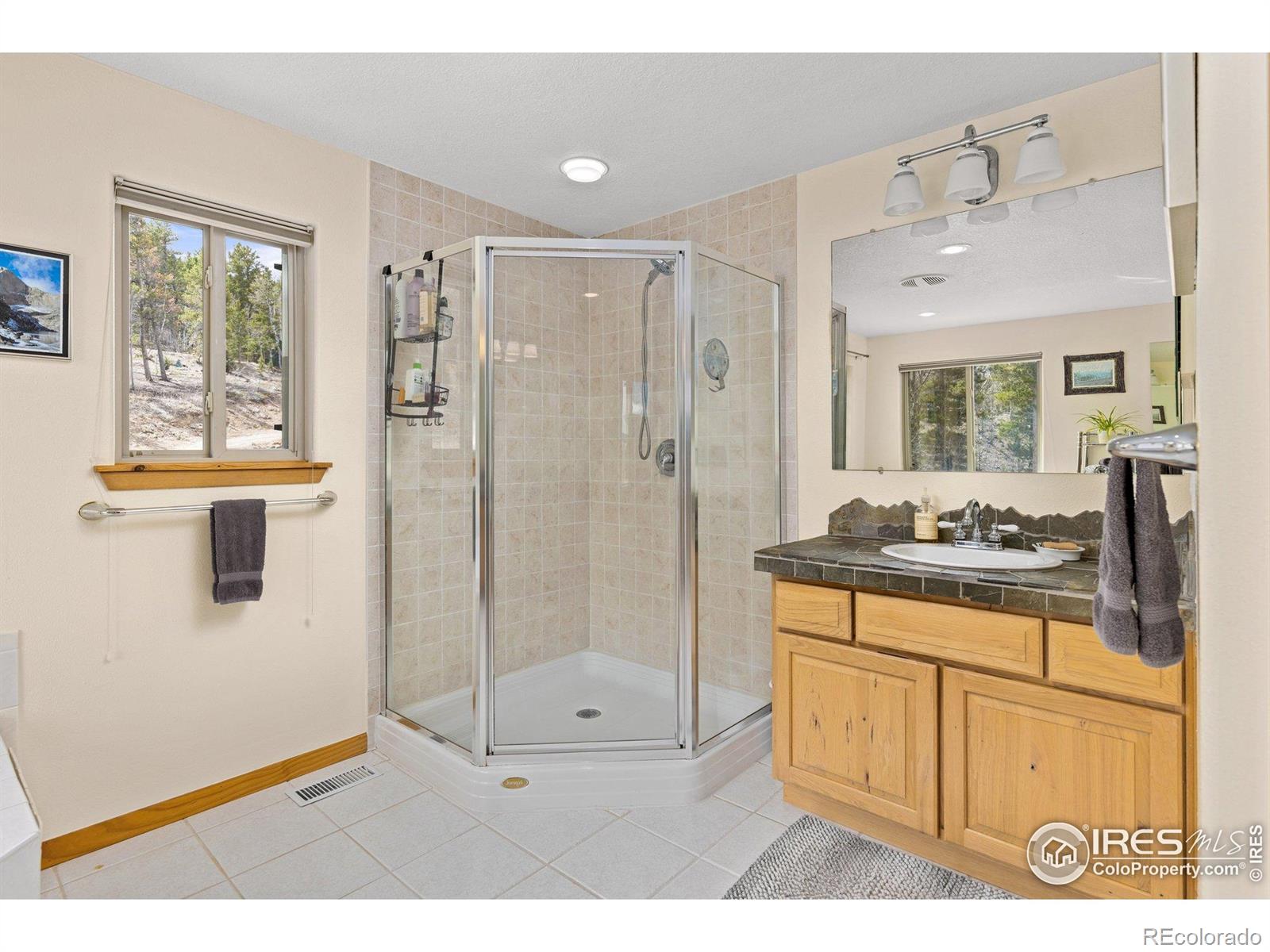 MLS Image #31 for 139  ponderosa drive,nederland, Colorado
