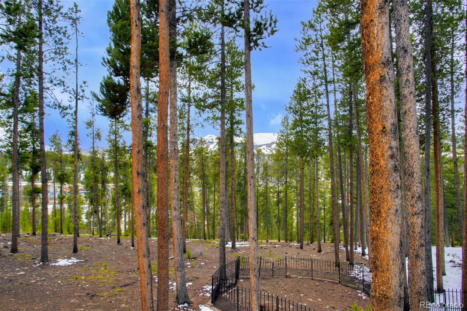 MLS Image #39 for 47  forest circle,breckenridge, Colorado