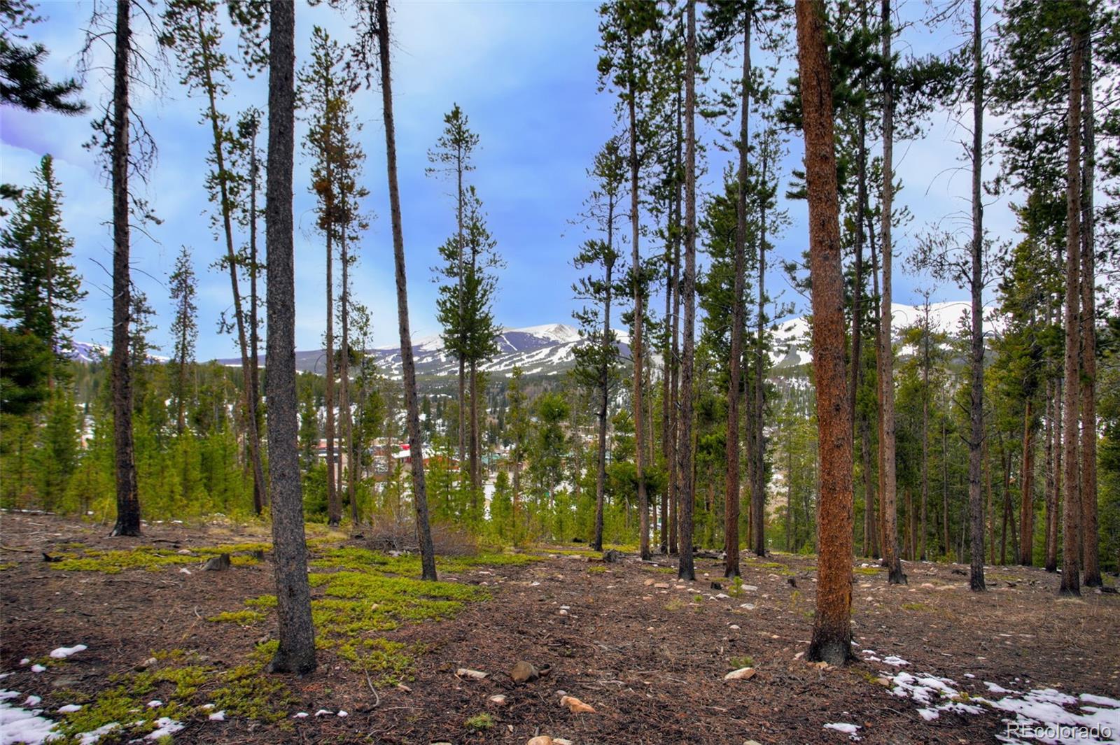 MLS Image #43 for 47  forest circle,breckenridge, Colorado