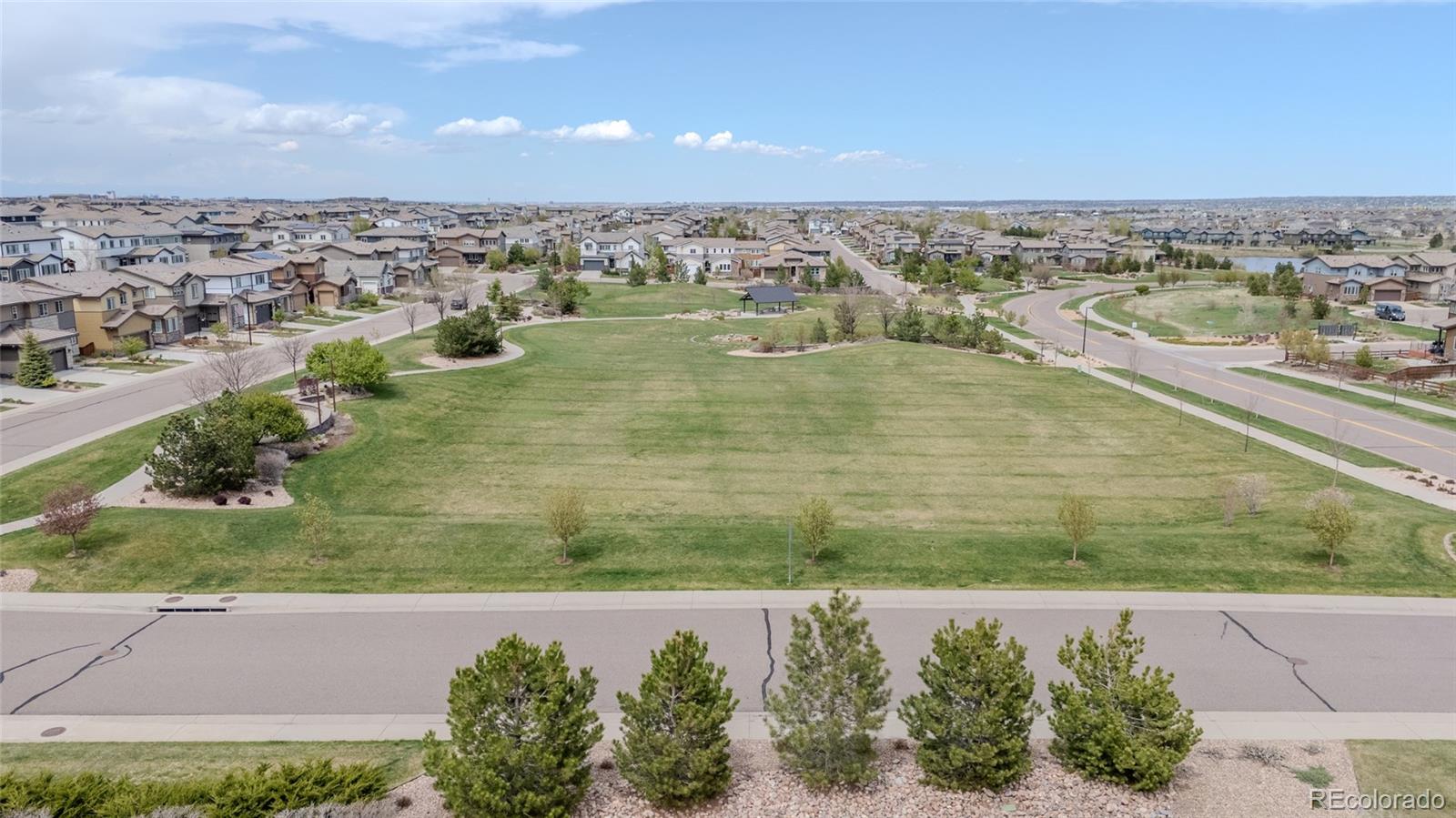 MLS Image #42 for 14582  mission walk loop,parker, Colorado