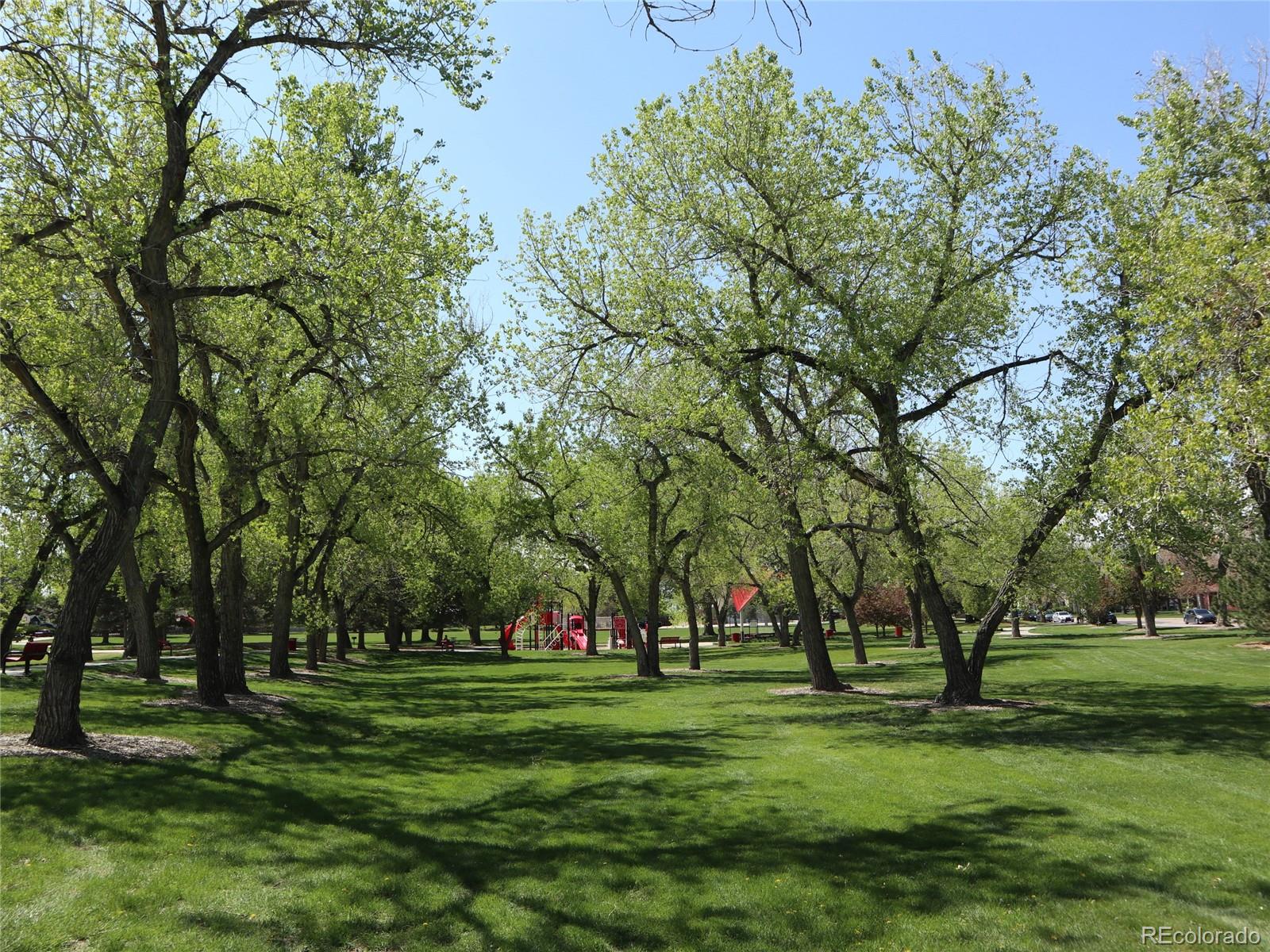 MLS Image #21 for 8418  everett way c,arvada, Colorado