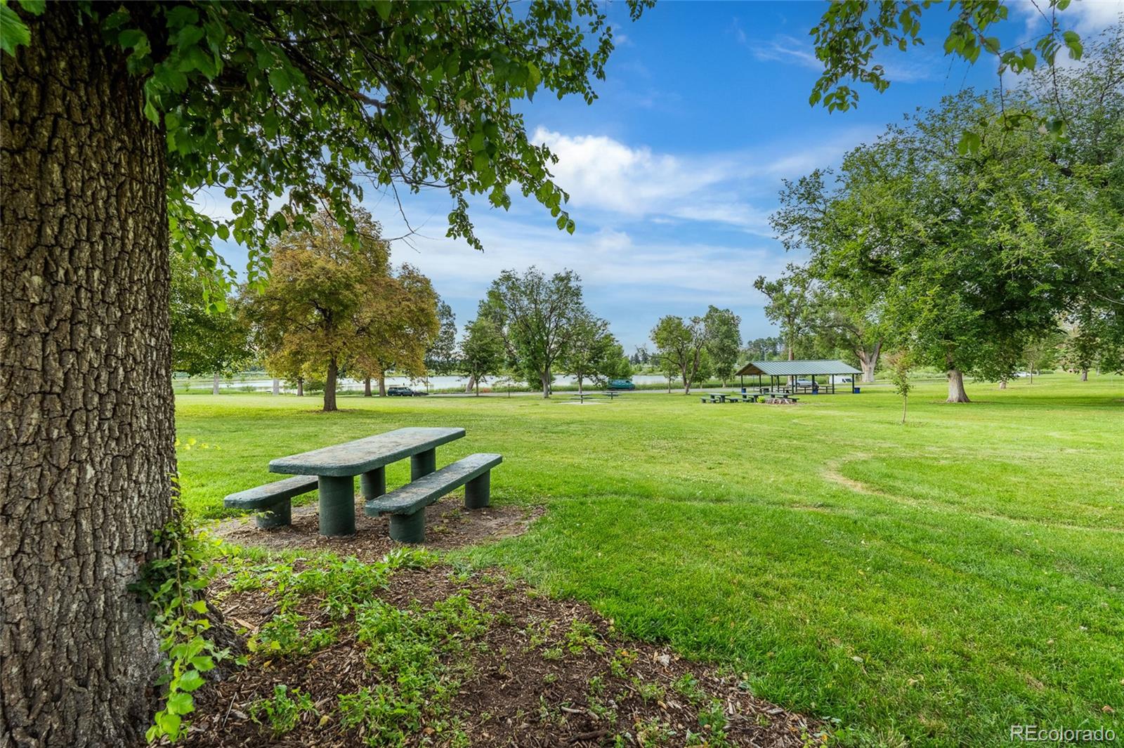 MLS Image #45 for 4645  quitman street,denver, Colorado