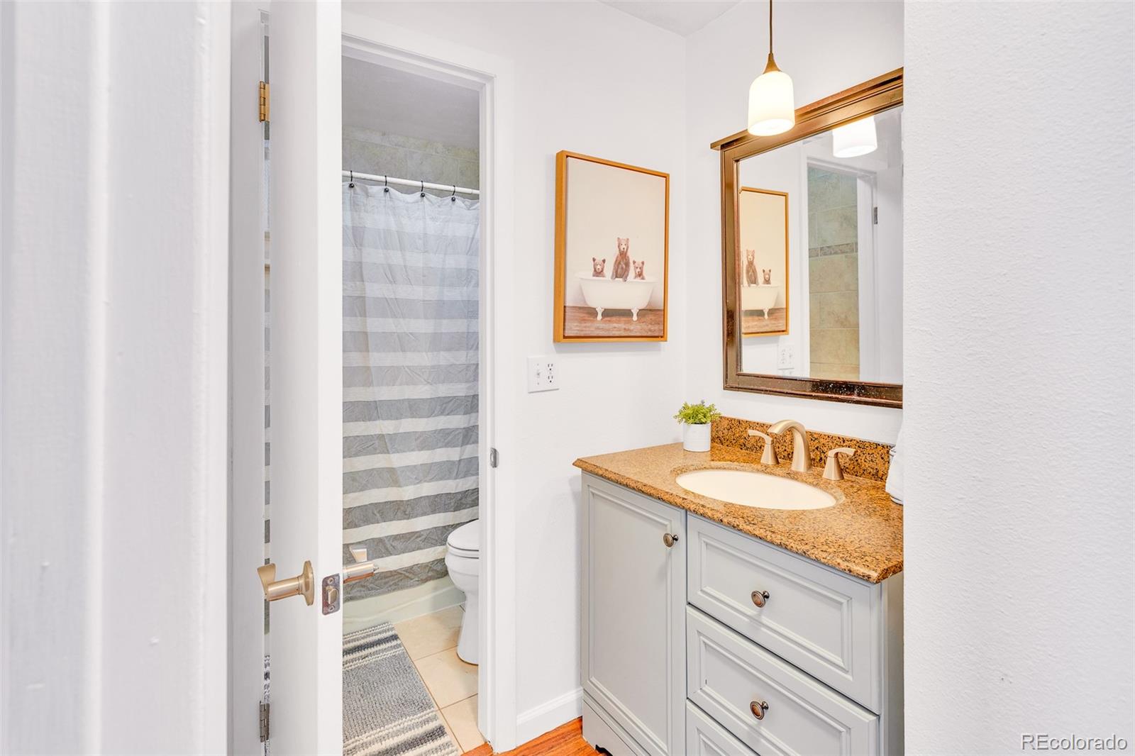 MLS Image #10 for 833  straight creek ,dillon, Colorado