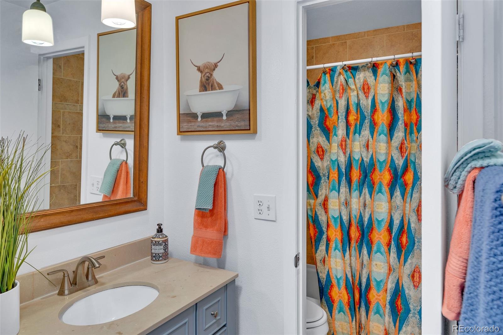 MLS Image #17 for 833  straight creek ,dillon, Colorado