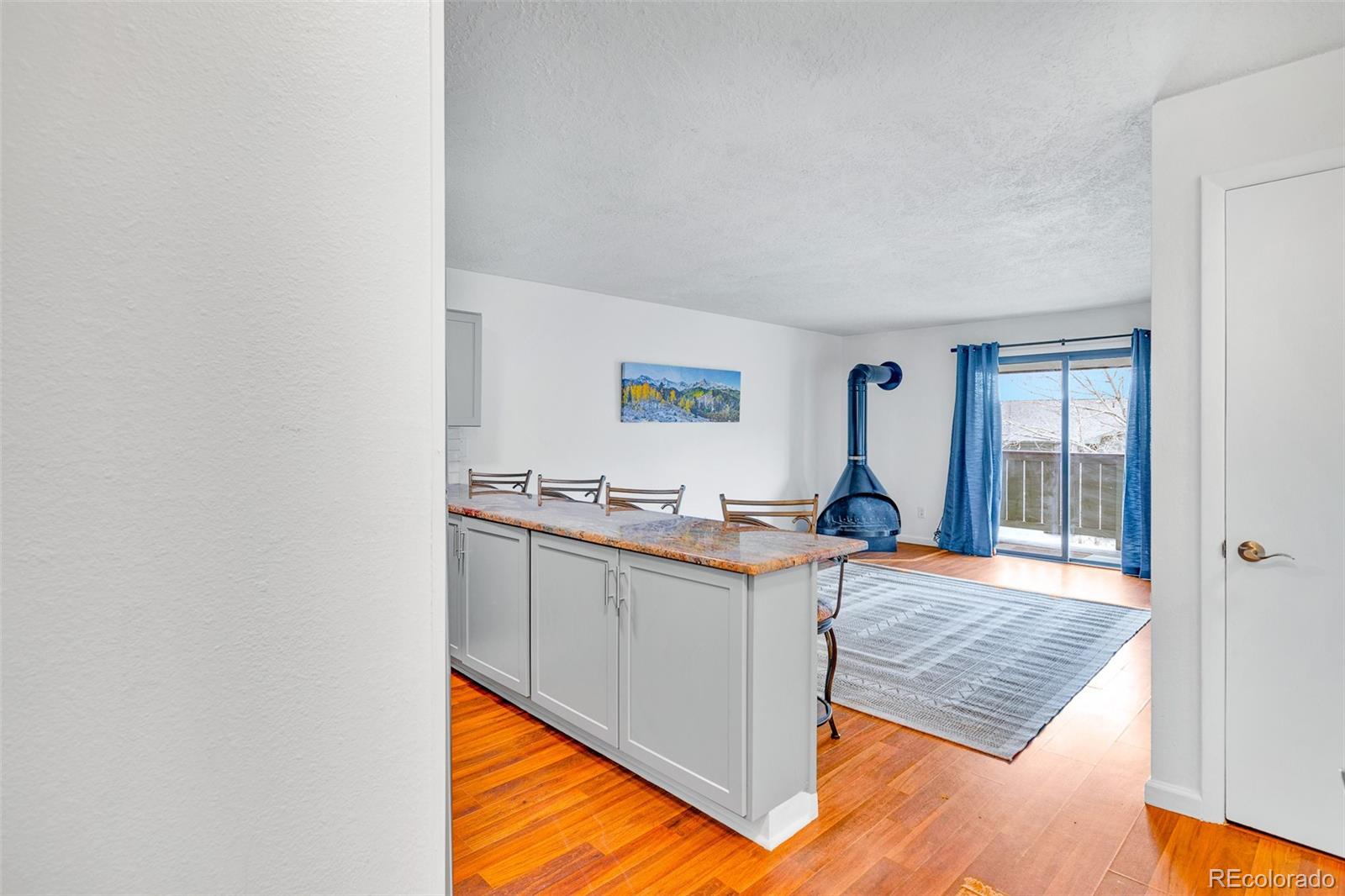 MLS Image #32 for 833  straight creek ,dillon, Colorado