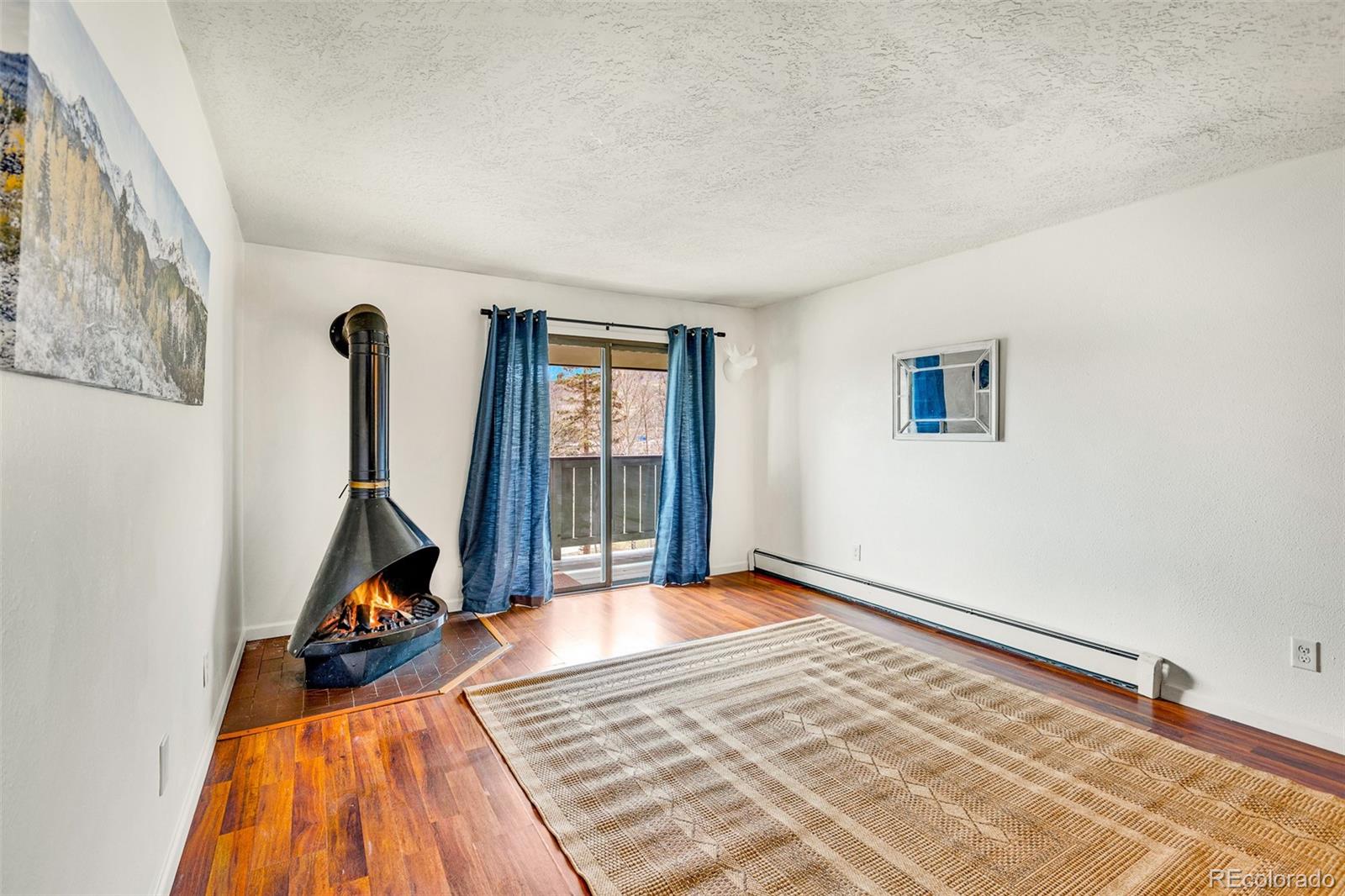 MLS Image #4 for 833  straight creek ,dillon, Colorado