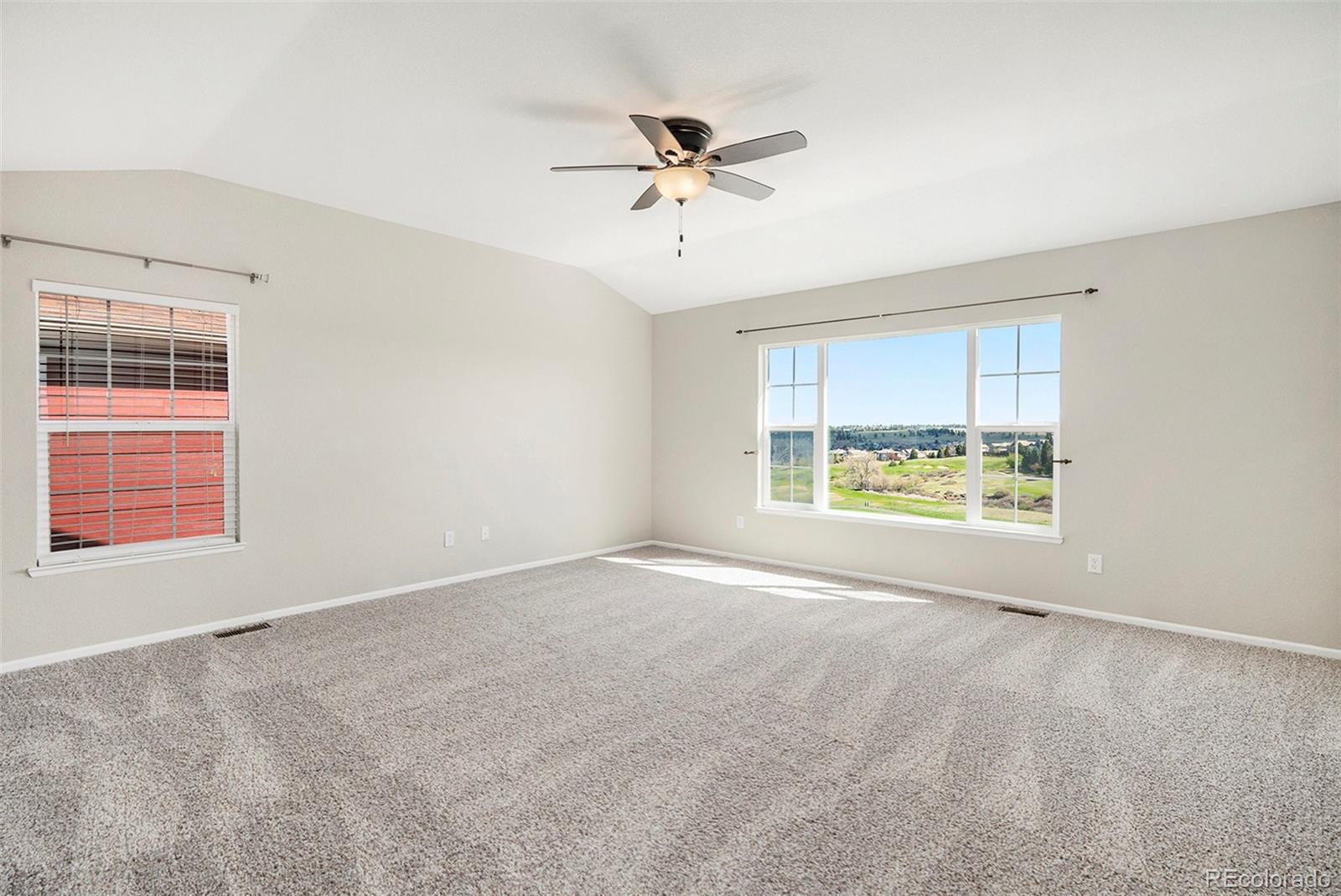 MLS Image #11 for 11748  mill valley street,parker, Colorado