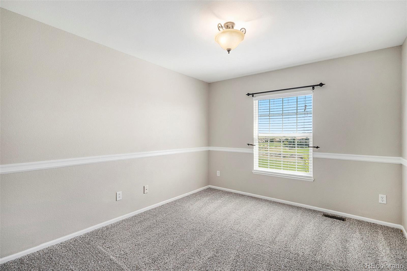 MLS Image #13 for 11748  mill valley street,parker, Colorado