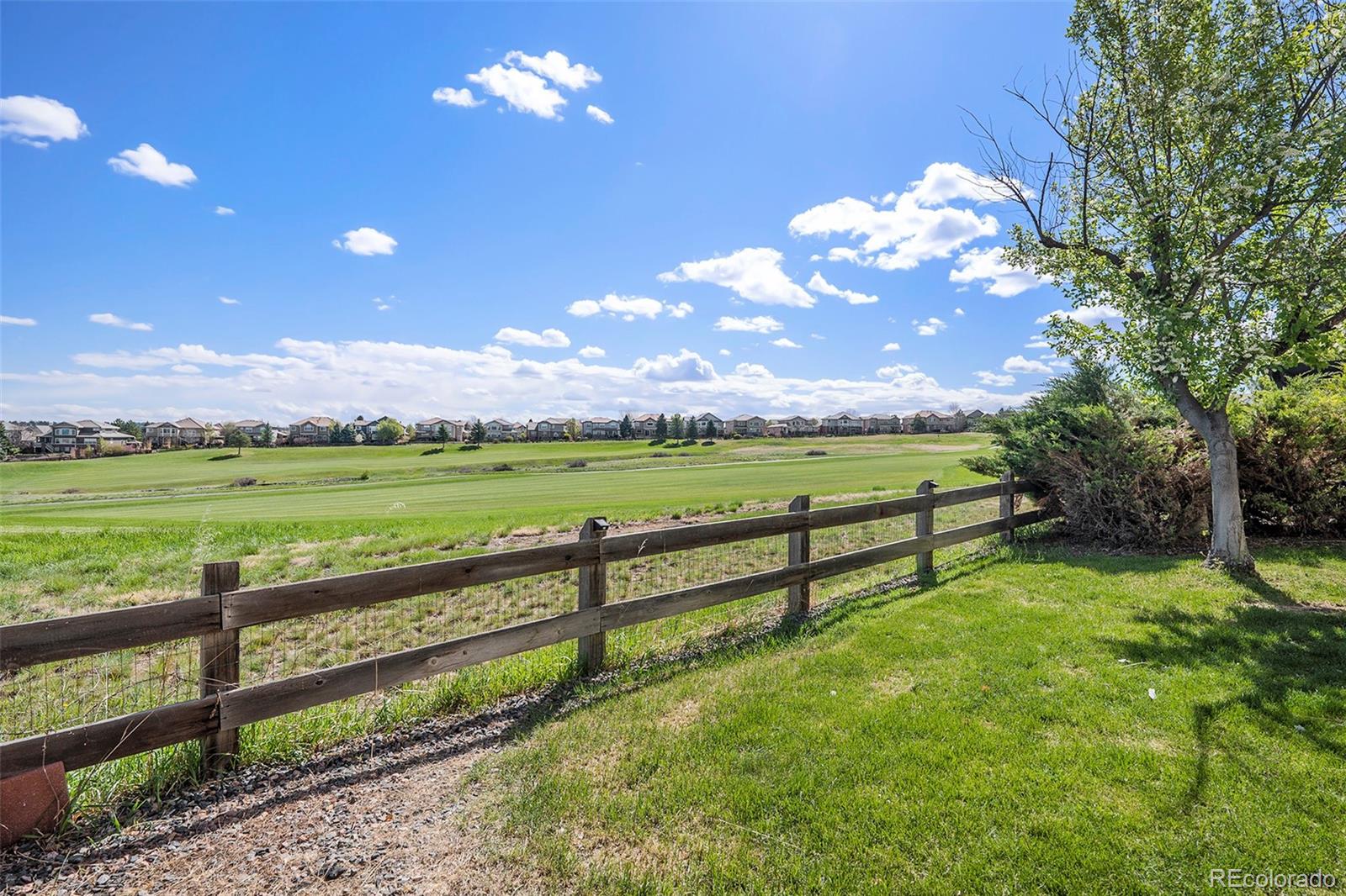 MLS Image #24 for 11748  mill valley street,parker, Colorado