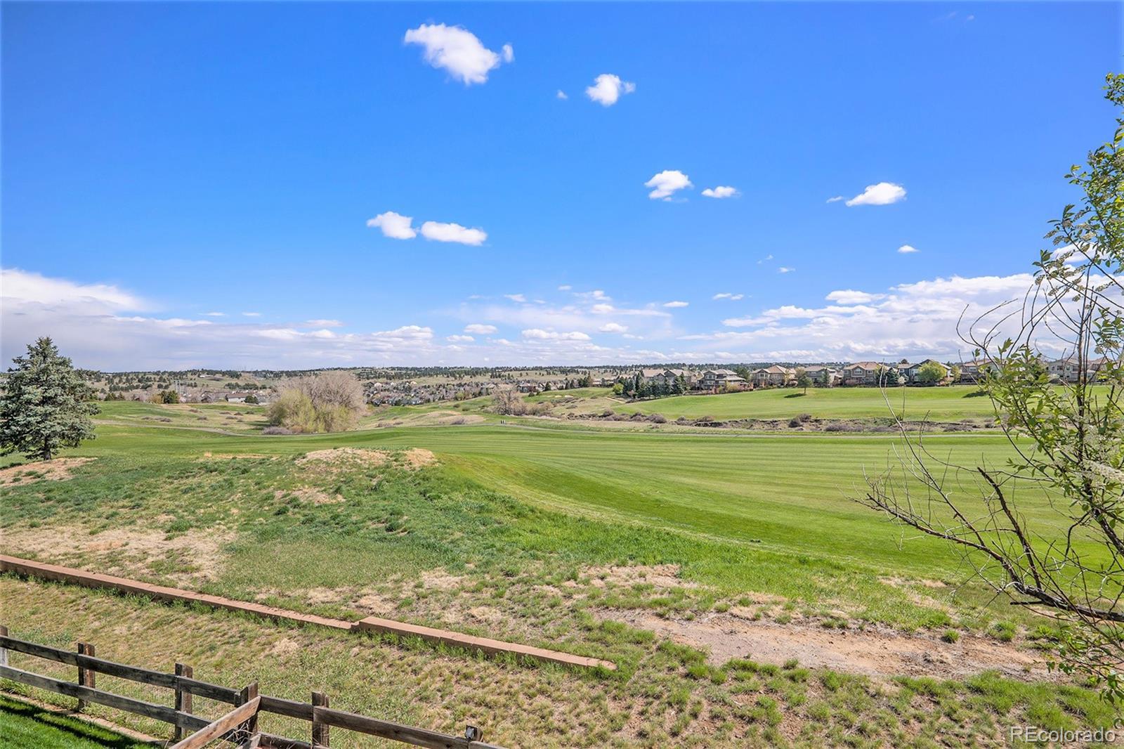 MLS Image #25 for 11748  mill valley street,parker, Colorado