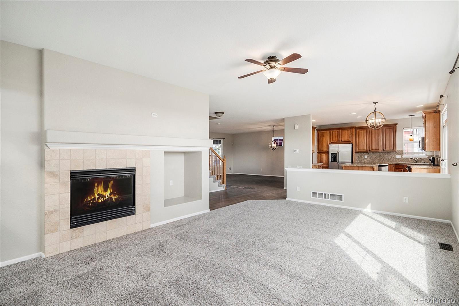 MLS Image #6 for 11748  mill valley street,parker, Colorado