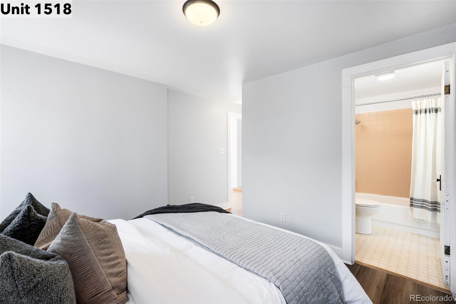 MLS Image #13 for 1518-1520 s sherman street,denver, Colorado