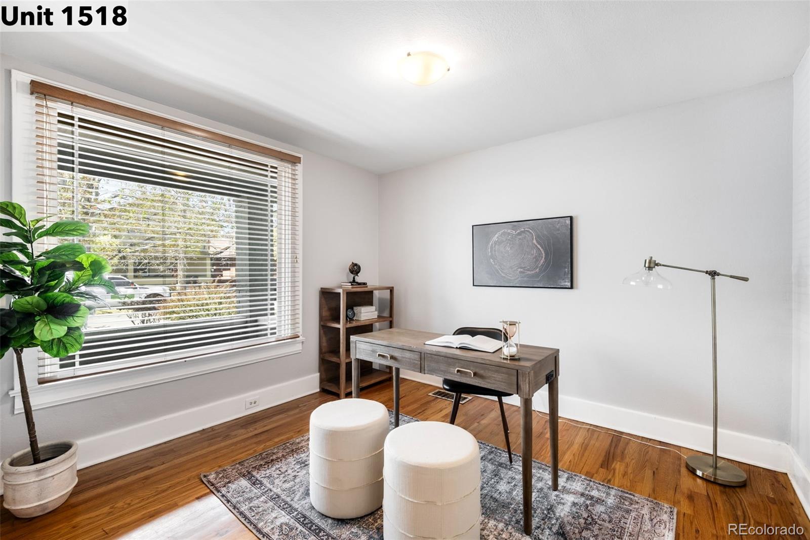 MLS Image #20 for 1518-1520 s sherman street,denver, Colorado
