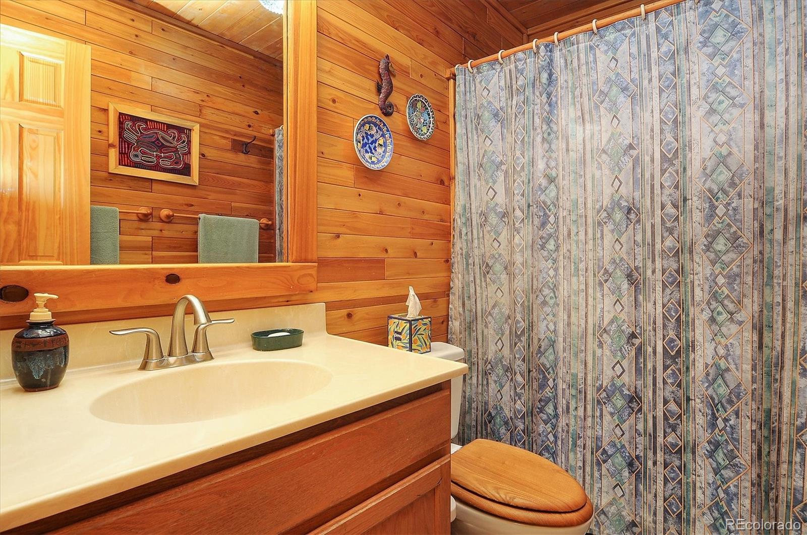 MLS Image #16 for 1111  red feather road,cotopaxi, Colorado