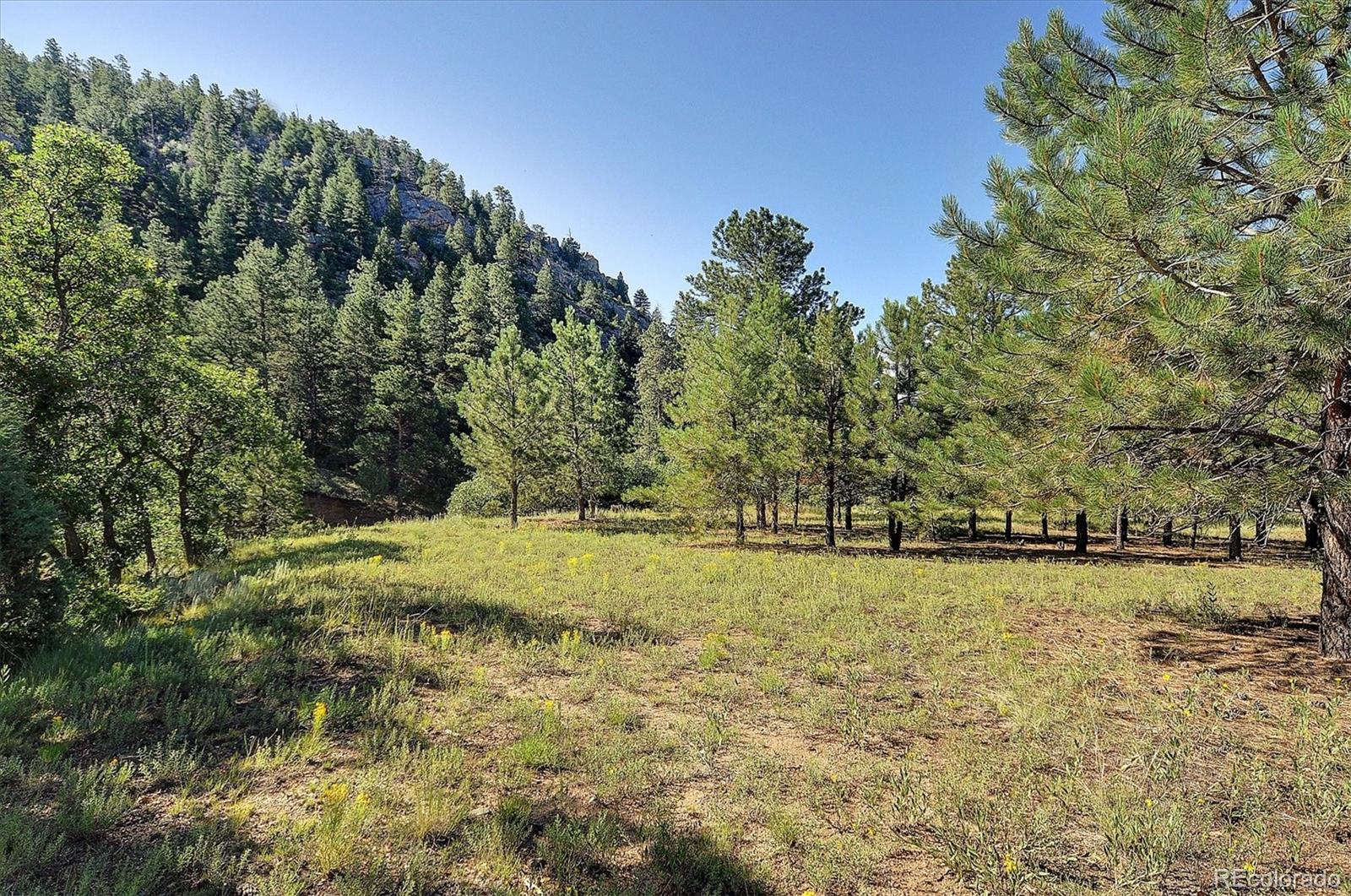 MLS Image #40 for 1111  red feather road,cotopaxi, Colorado