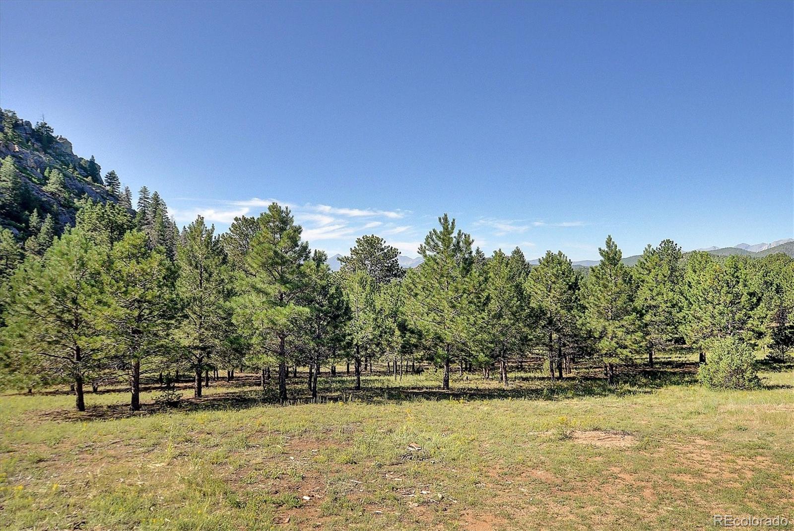 MLS Image #42 for 1111  red feather road,cotopaxi, Colorado