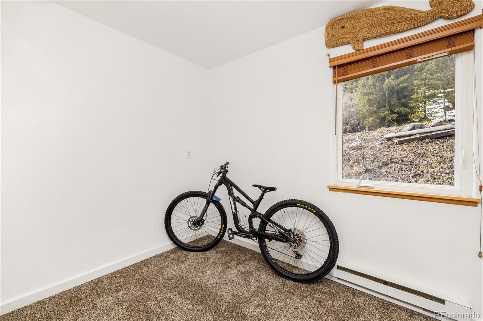 MLS Image #9 for 100  now colorado court,breckenridge, Colorado