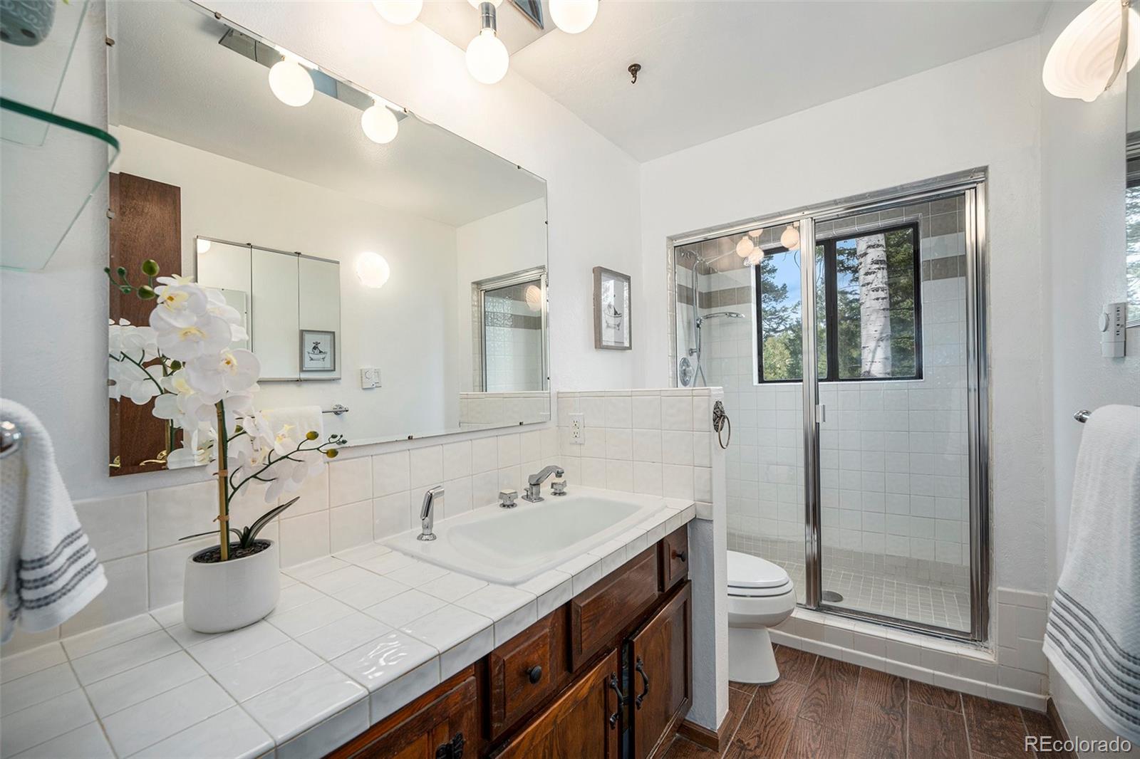 MLS Image #11 for 9530  aspen lane,conifer, Colorado
