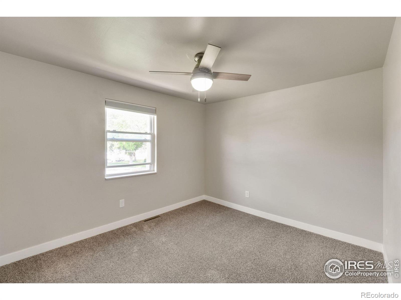 MLS Image #10 for 221  chestnut street,windsor, Colorado