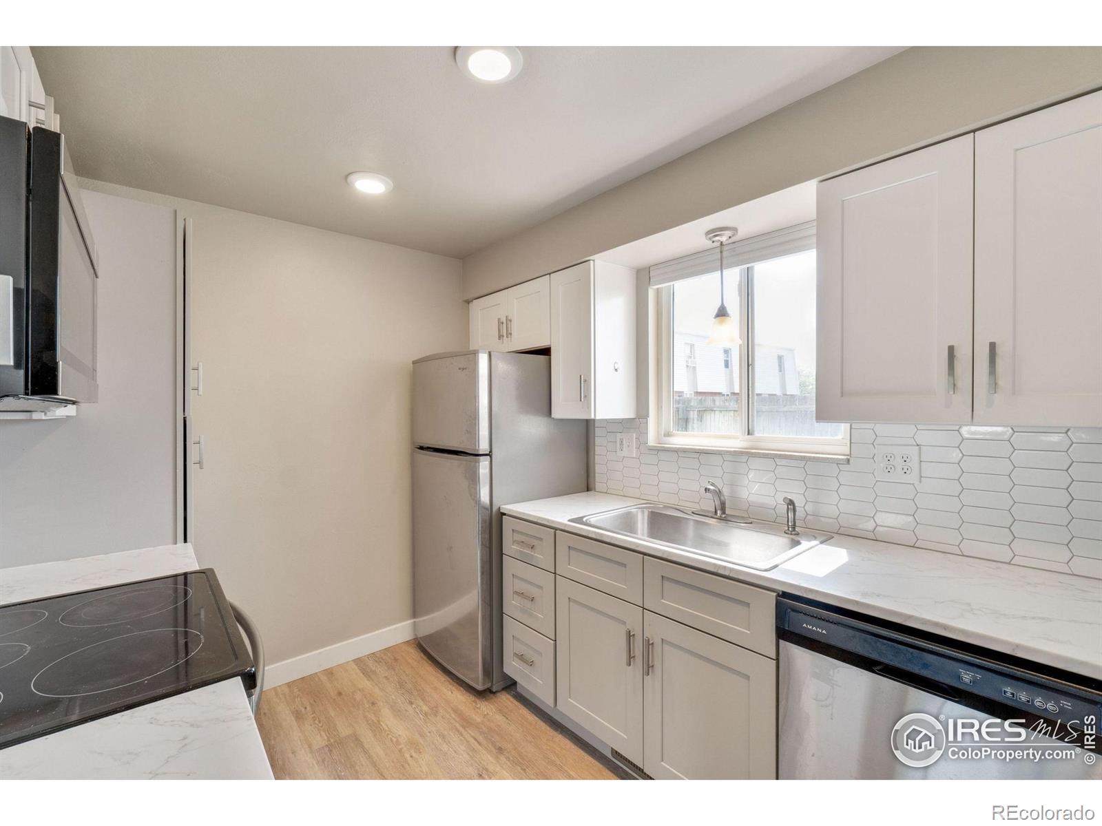 MLS Image #2 for 221  chestnut street,windsor, Colorado