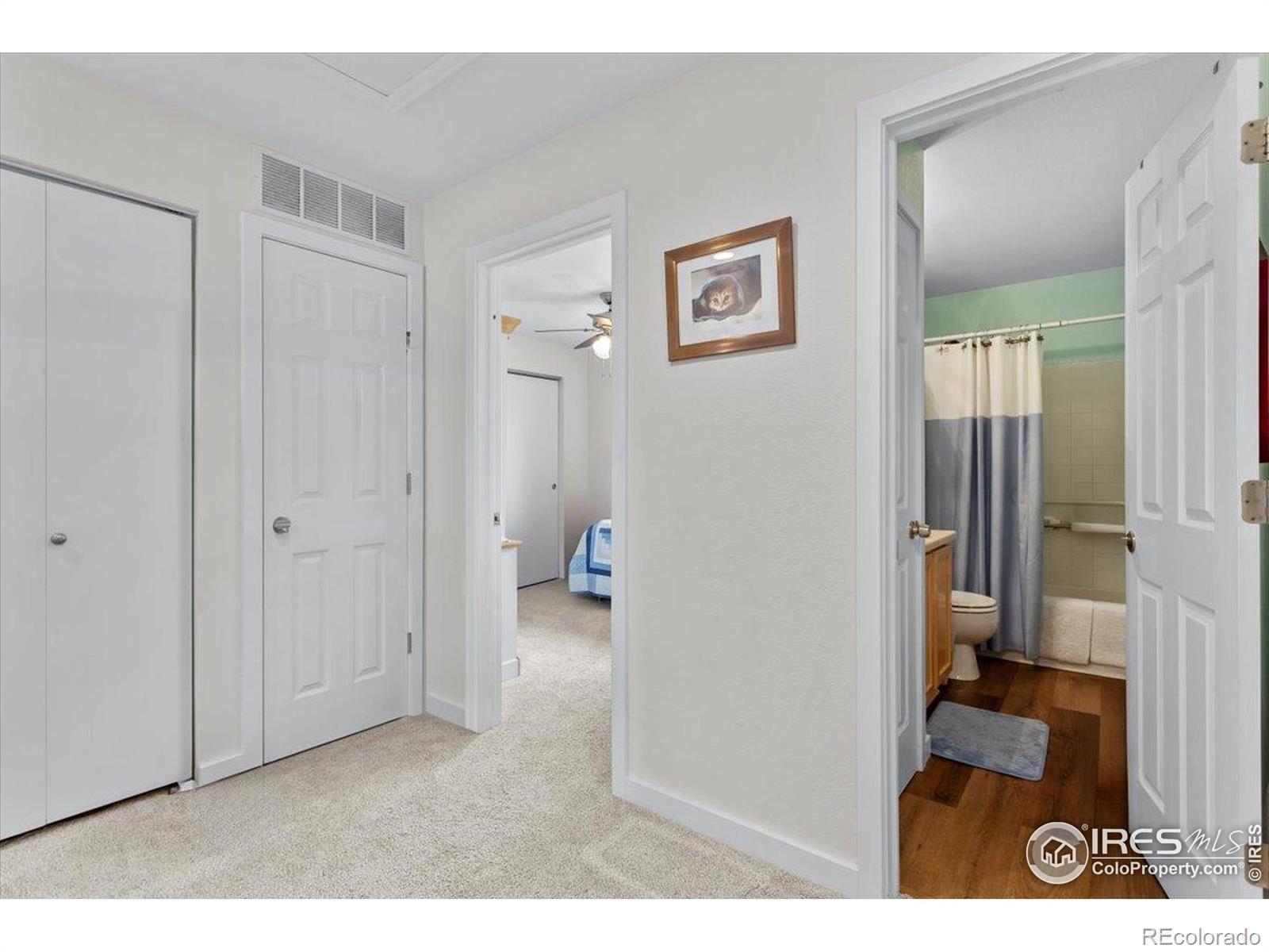 MLS Image #19 for 1810  dove creek circle,loveland, Colorado