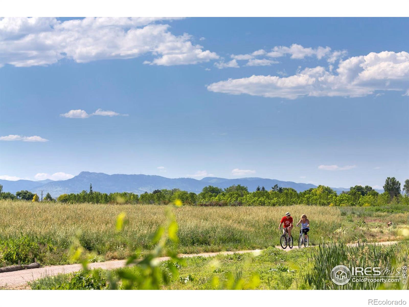 MLS Image #21 for 4153  north park drive,loveland, Colorado