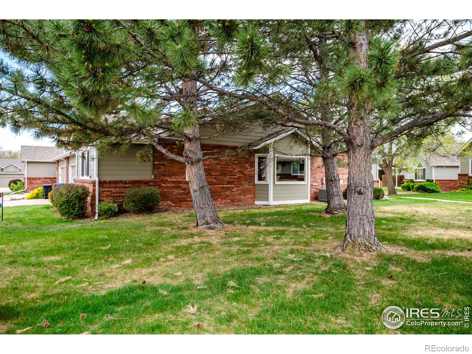 MLS Image #19 for 1609  16th place,longmont, Colorado