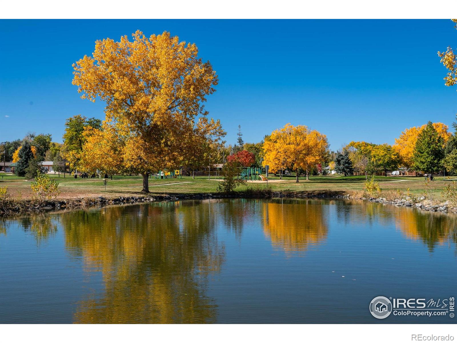 MLS Image #27 for 1609  16th place,longmont, Colorado