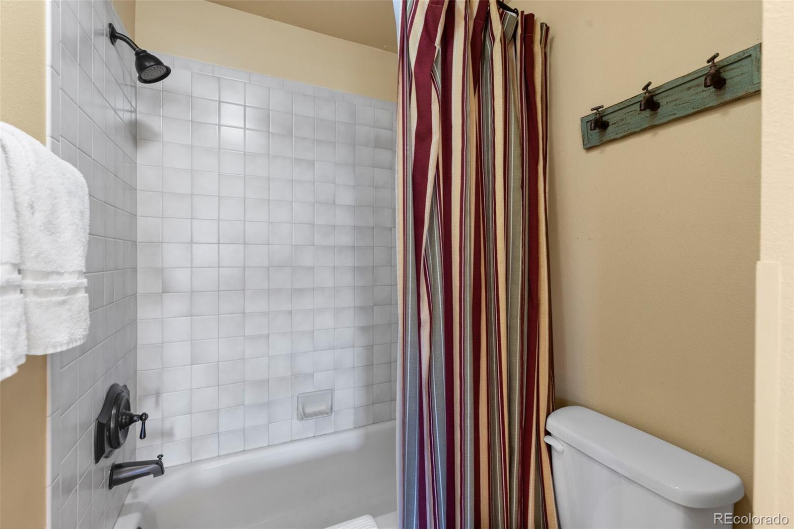 MLS Image #27 for 1660  lakeview terrace,frisco, Colorado
