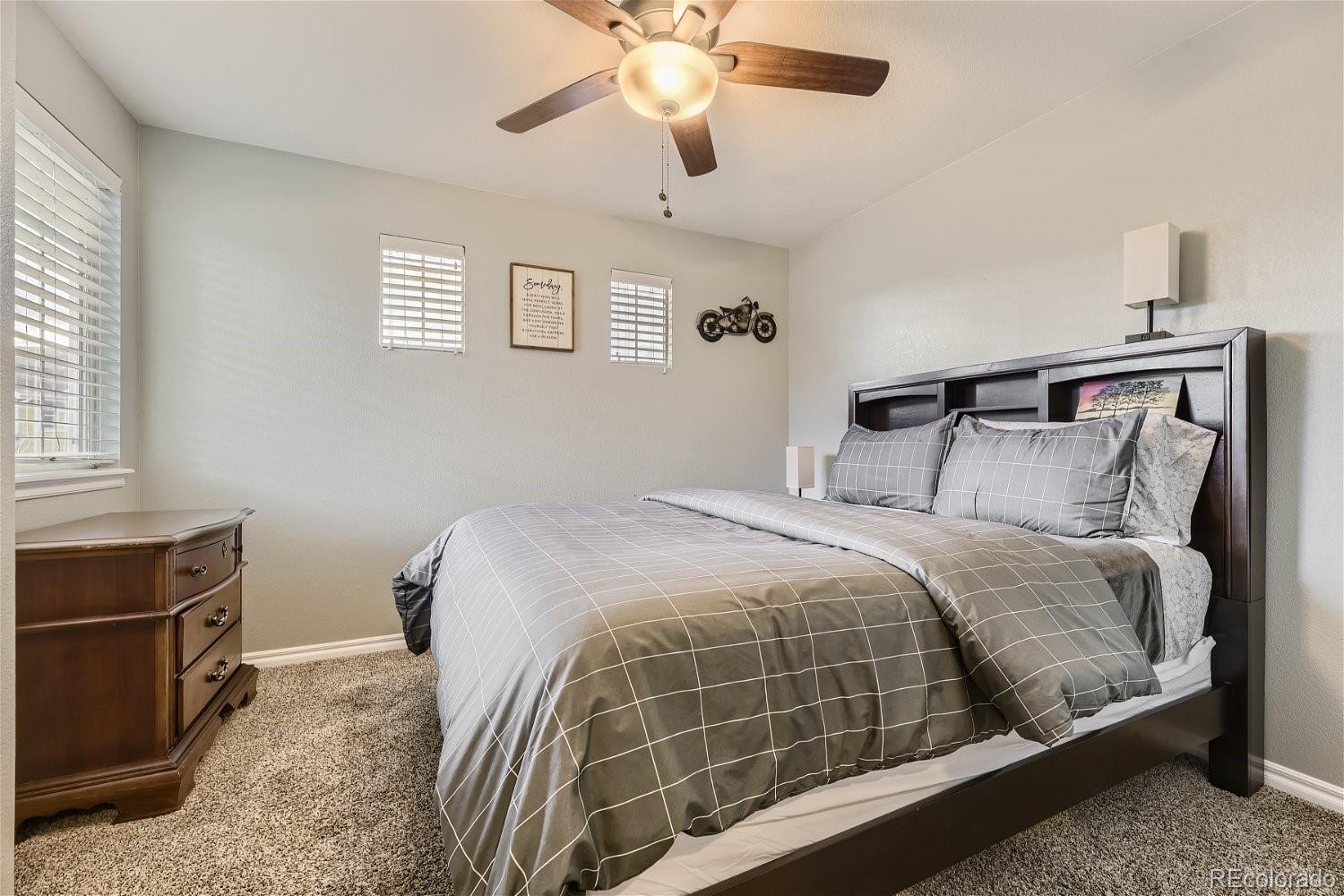 MLS Image #14 for 3120  redhaven way,highlands ranch, Colorado