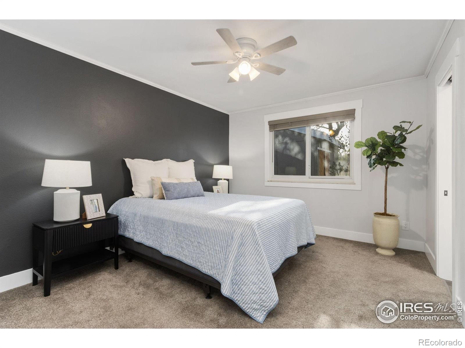 MLS Image #12 for 2139  donna court,loveland, Colorado