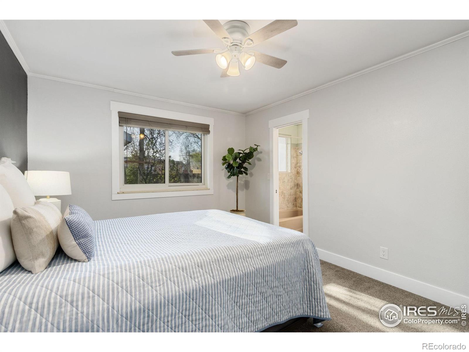 MLS Image #13 for 2139  donna court,loveland, Colorado