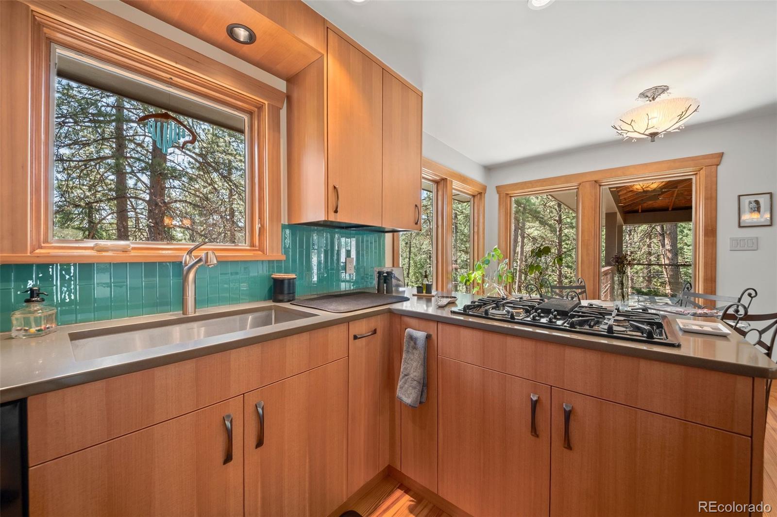 MLS Image #12 for 9107 s deer creek canyon road,littleton, Colorado