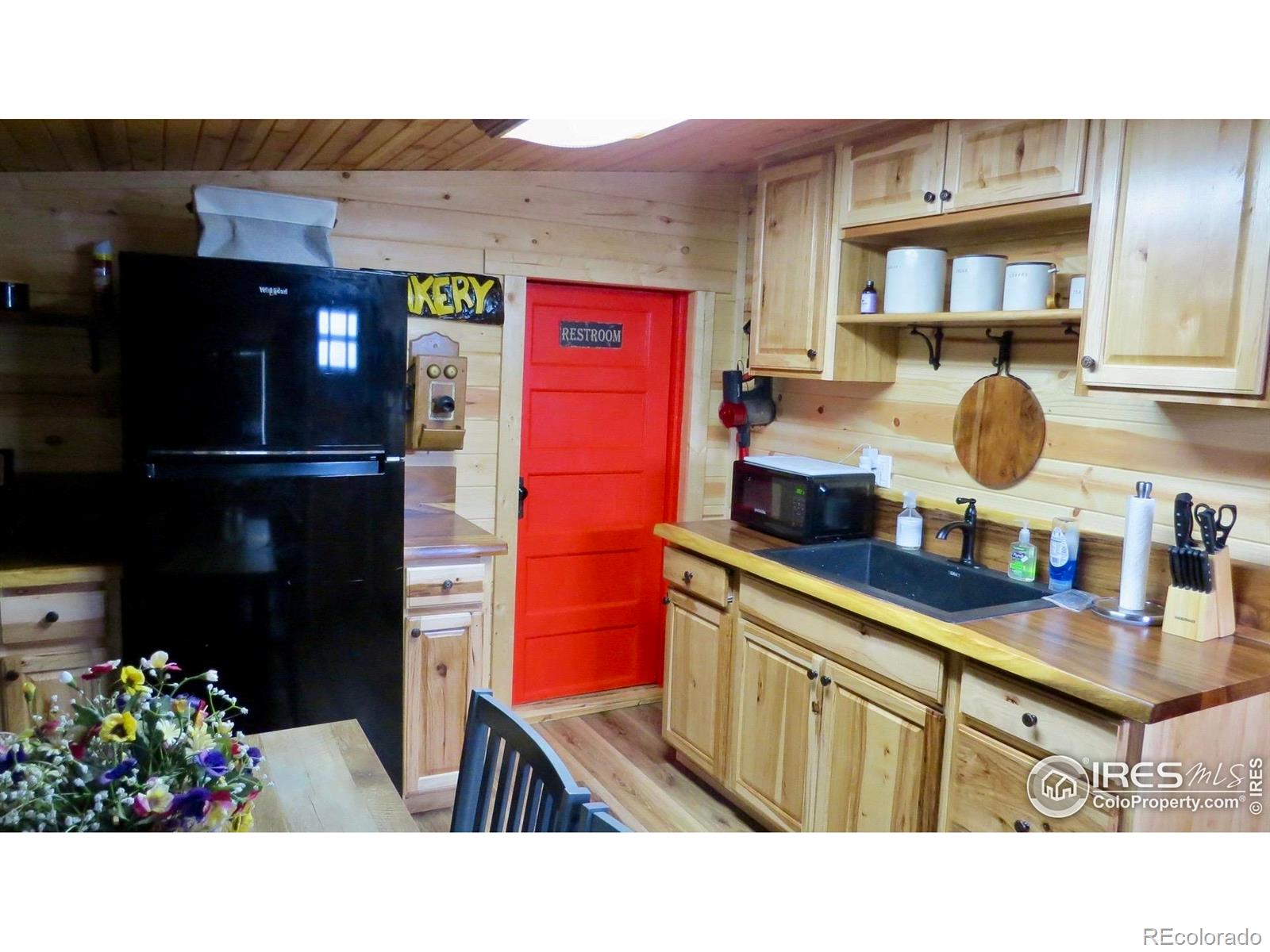 MLS Image #15 for 108  buffalo run lane,red feather lakes, Colorado
