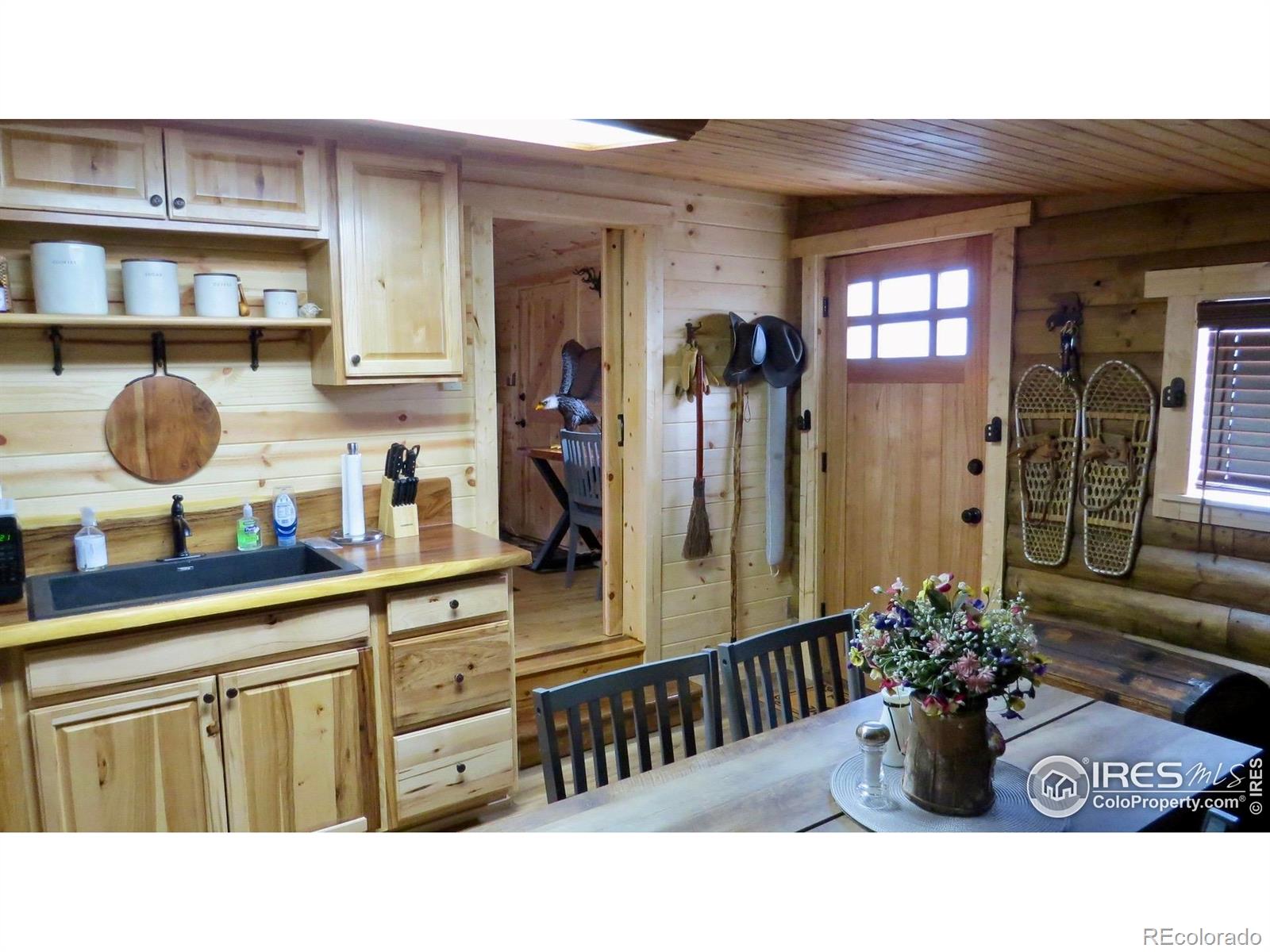 MLS Image #16 for 108  buffalo run lane,red feather lakes, Colorado