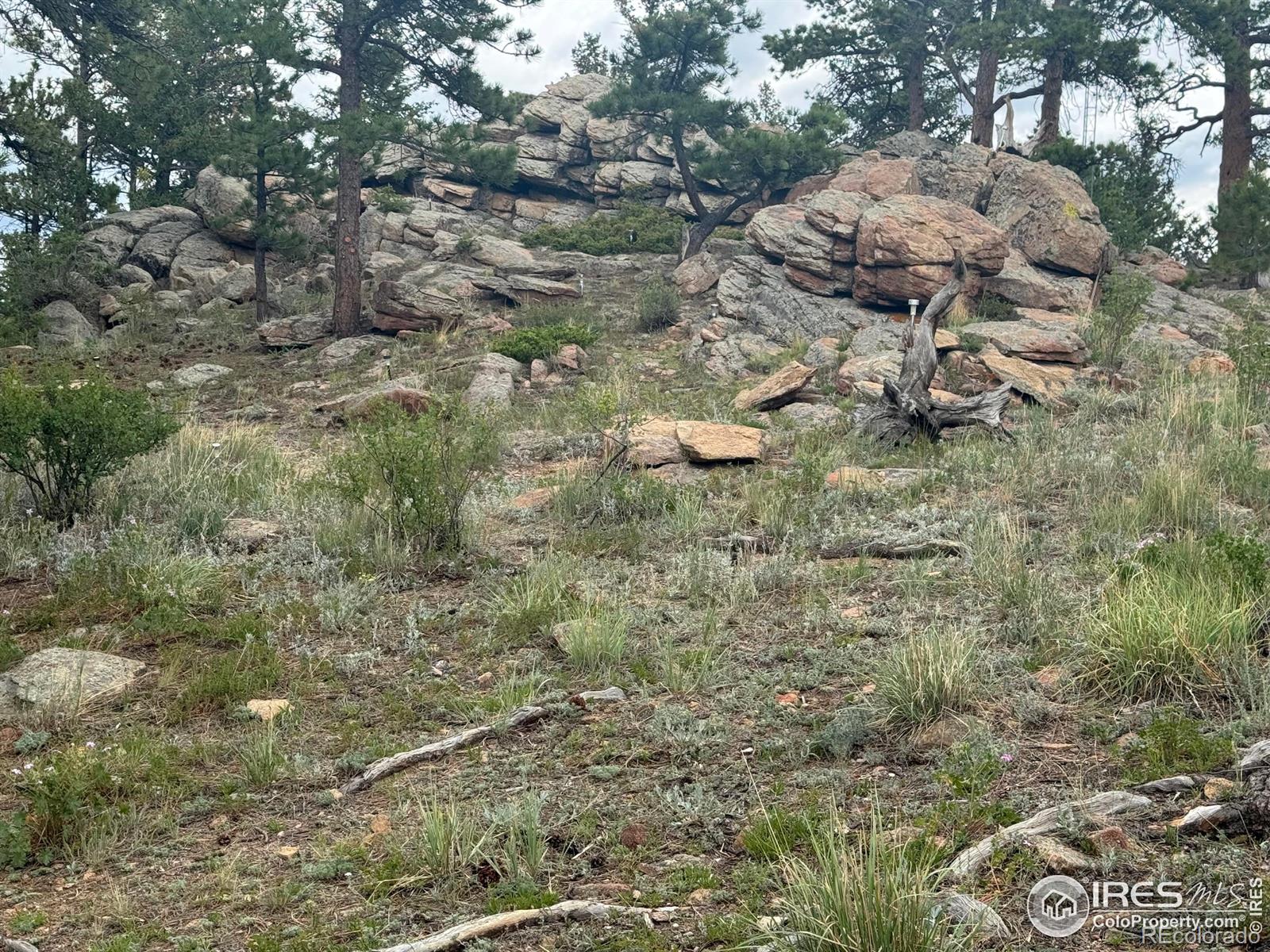 MLS Image #18 for 108  buffalo run lane,red feather lakes, Colorado