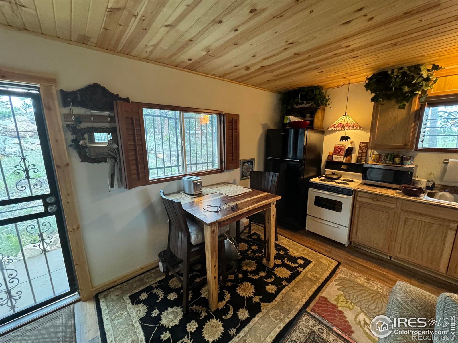 MLS Image #20 for 108  buffalo run lane,red feather lakes, Colorado
