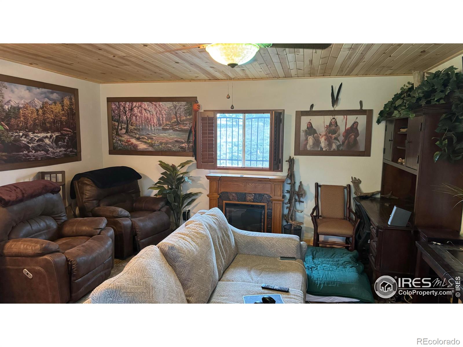 MLS Image #21 for 108  buffalo run lane,red feather lakes, Colorado
