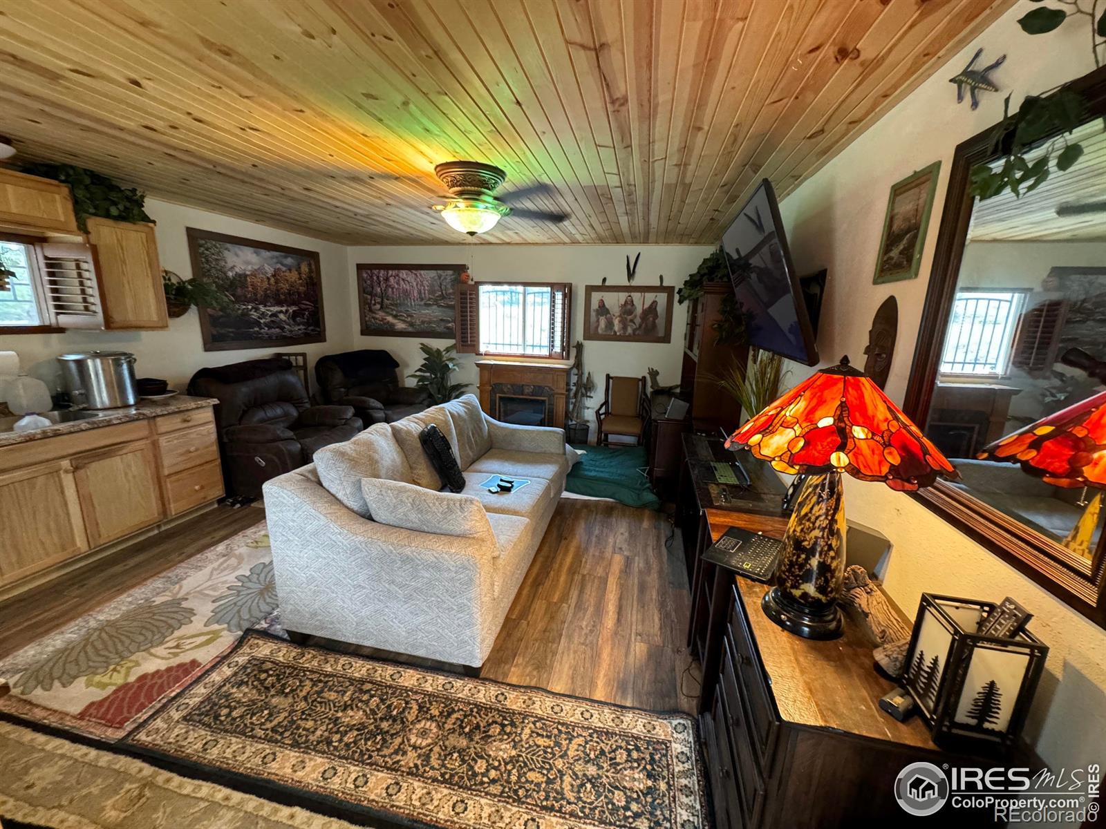 MLS Image #22 for 108  buffalo run lane,red feather lakes, Colorado