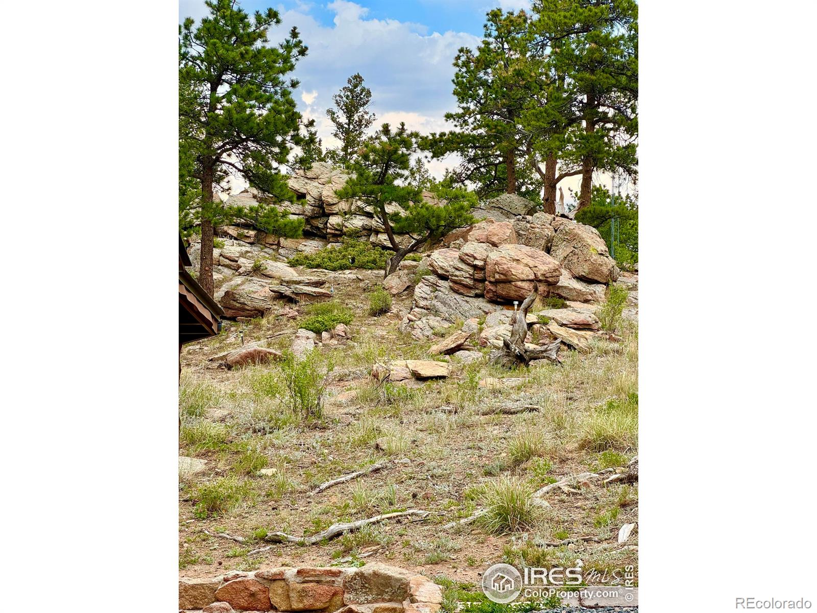 MLS Image #23 for 108  buffalo run lane,red feather lakes, Colorado