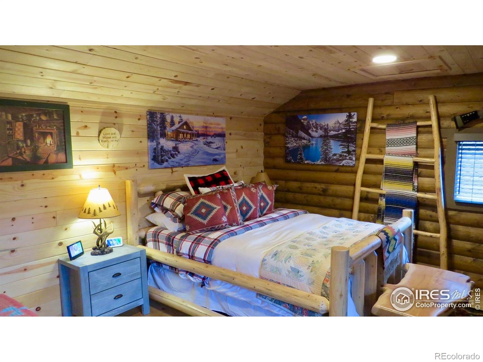 MLS Image #5 for 108  buffalo run lane,red feather lakes, Colorado