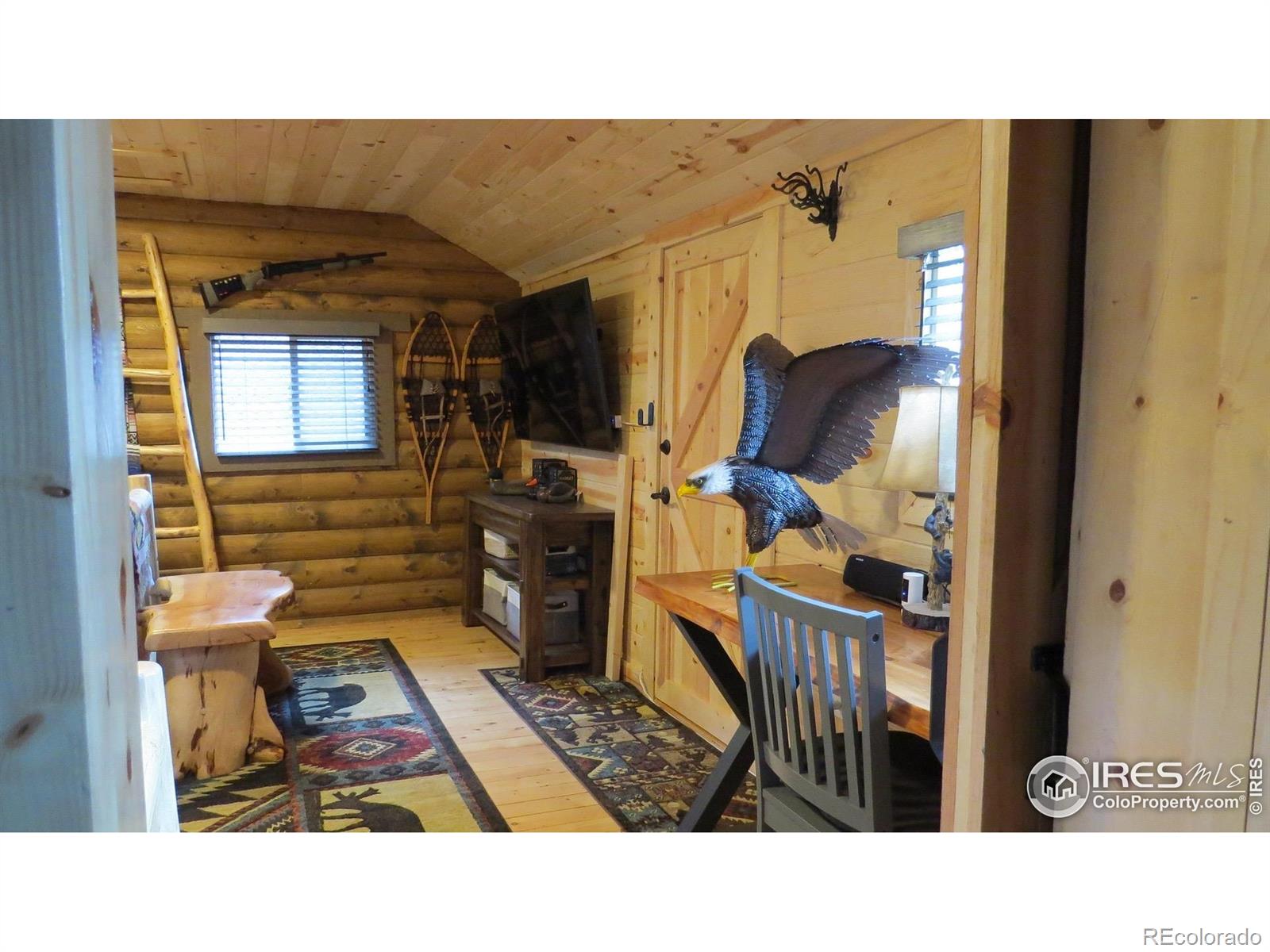 MLS Image #8 for 108  buffalo run lane,red feather lakes, Colorado