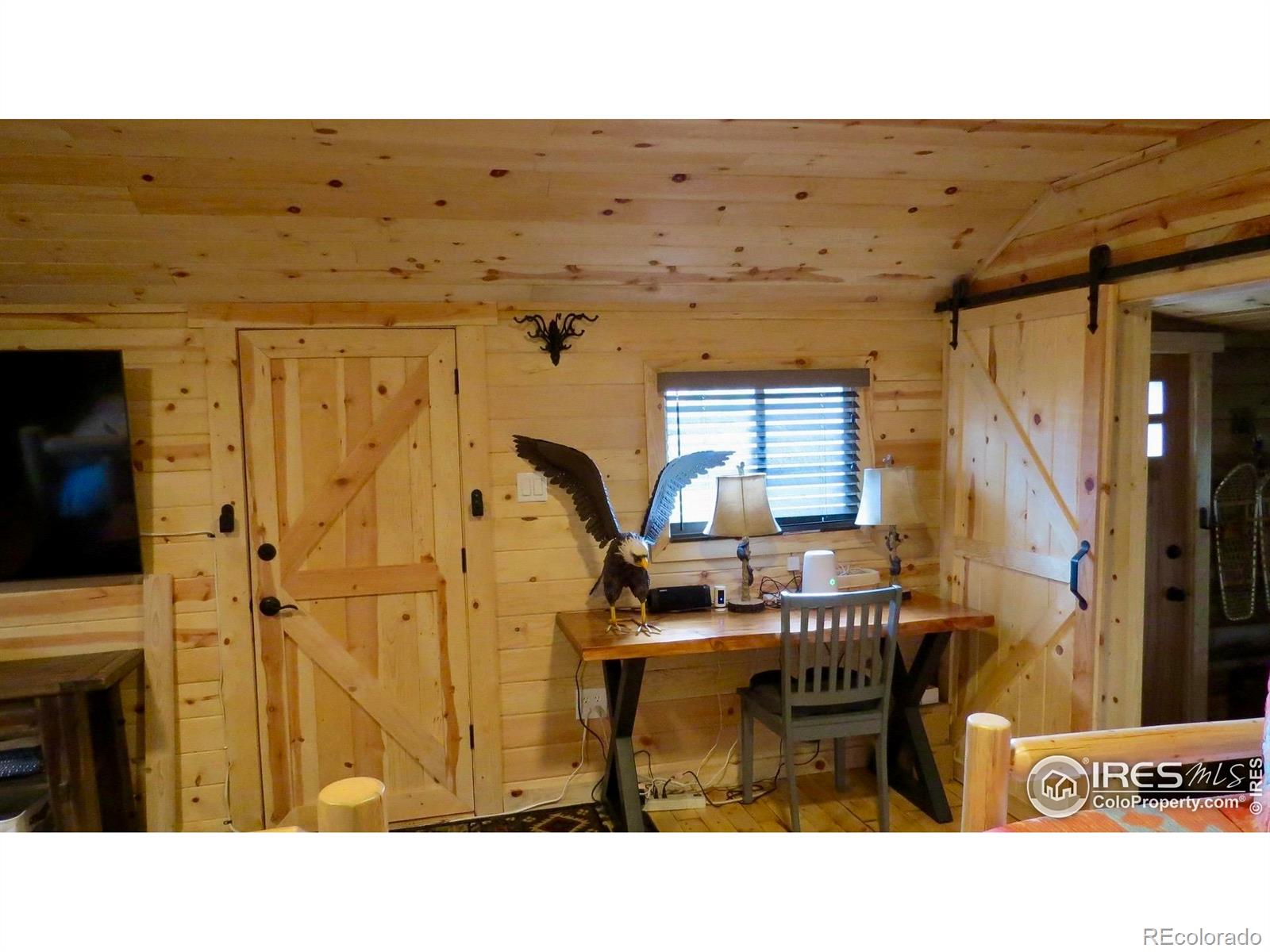MLS Image #9 for 108  buffalo run lane,red feather lakes, Colorado