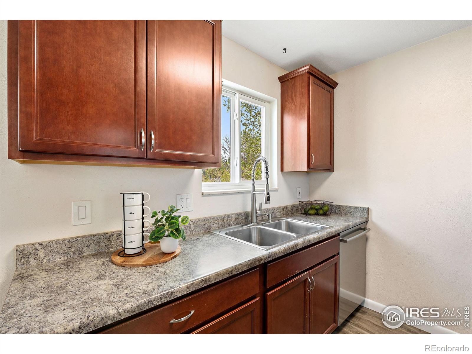 MLS Image #12 for 10683  newcombe way,broomfield, Colorado