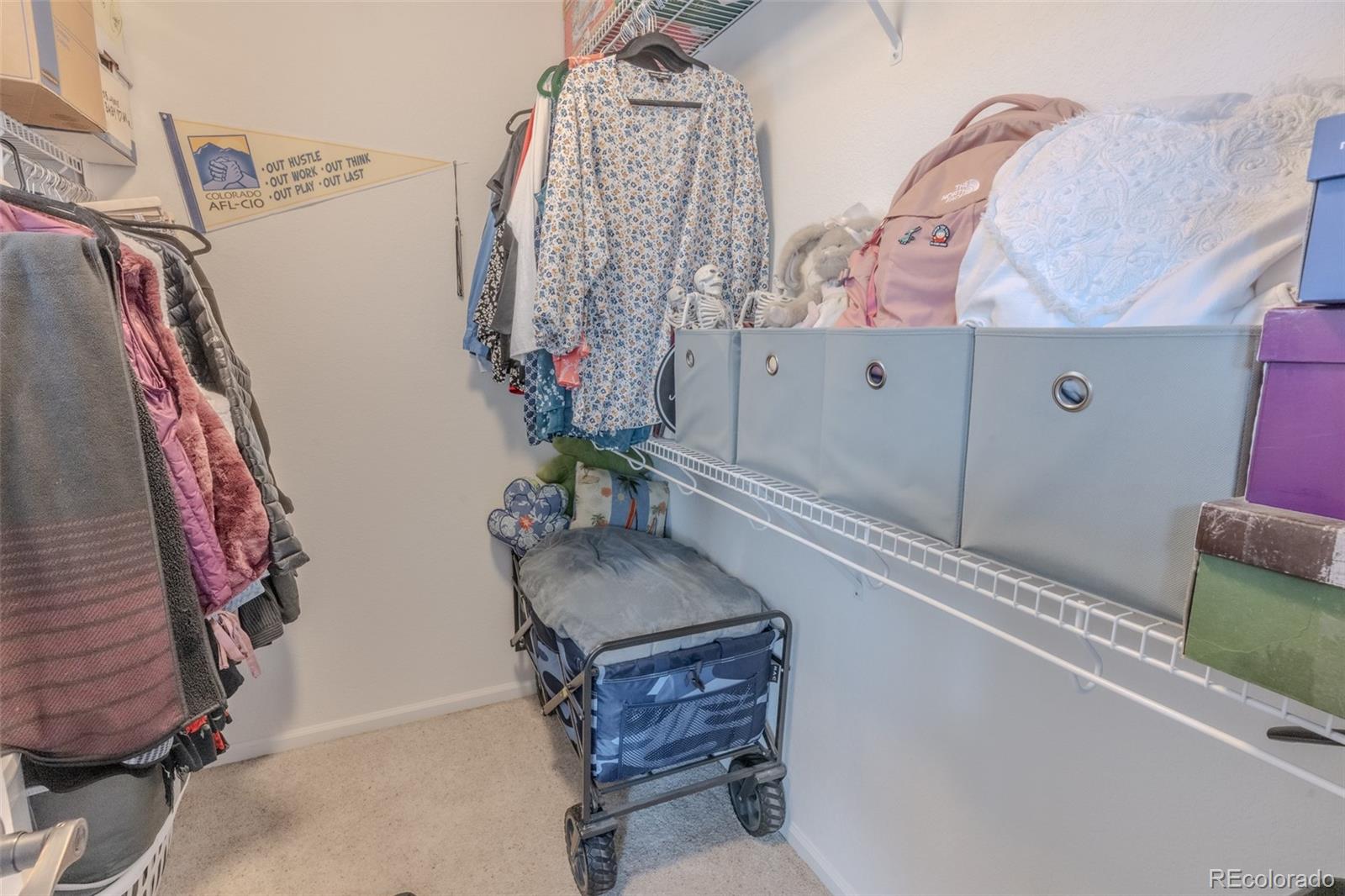 MLS Image #13 for 709  crown ridge lane,fort collins, Colorado
