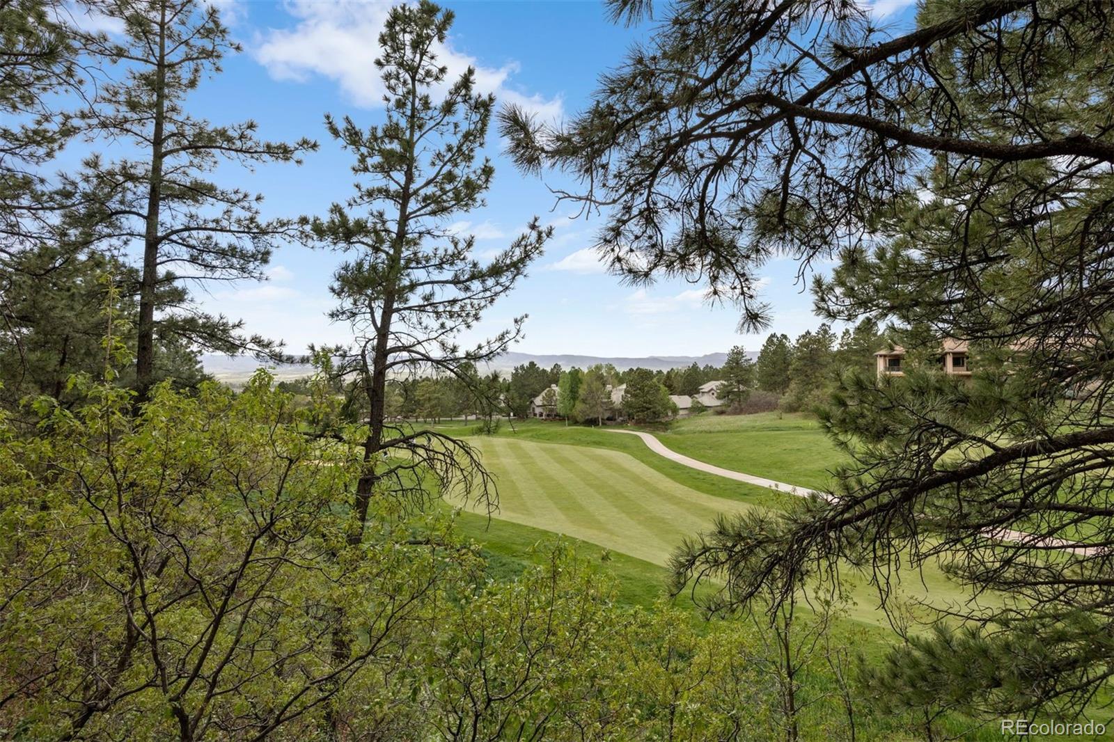 MLS Image #44 for 120  silver leaf way,castle rock, Colorado