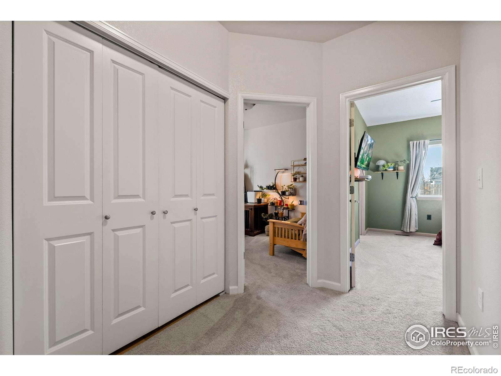 MLS Image #10 for 882 s carriage drive,milliken, Colorado